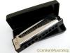 SWAN BLUES POWER 10 HOLE E HARMONICA IN CASE